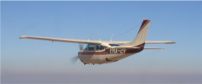 fly in safari 202x84